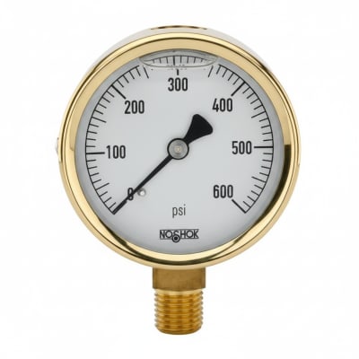 NOSHOK 25-300-6000-PSI/KPA-CFF-MIP-BT8-CC