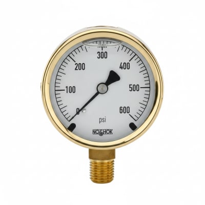 NOSHOK 25-300-6000-PSI/BAR-CFF-MIP