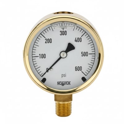 NOSHOK 25-300-6000-PSI/BAR-CFF-MIP-CC