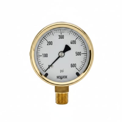NOSHOK 25-300-6000-PSI/BAR-CFF-BT8