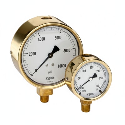 NOSHOK 25-300-6000-PSI/KG/CM2-BFF-MIP-BT8-CC