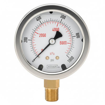 NOSHOK 25-300-100-PSI/BAR-CFF-BT8