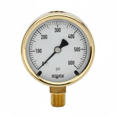 NOSHOK 25-300-100-PSI/BAR-BFF