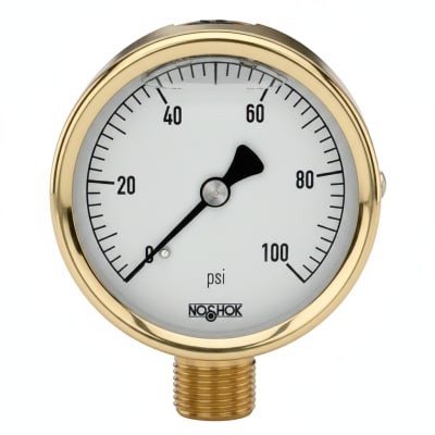 NOSHOK 25-300-100-PSI/KPA-CFF
