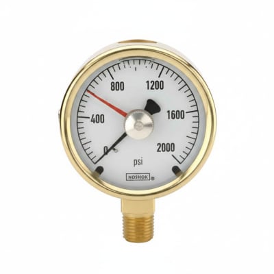 NOSHOK 25-300-100-PSI/BAR-BFF-MIP-BT8-CC