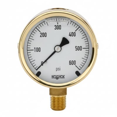 NOSHOK 25-300-100-PSI/BAR-CFF-MIP-BT8