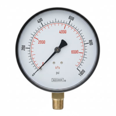 NOSHOK 25-300-100-PSI/KPA-BFF-MIP-CC