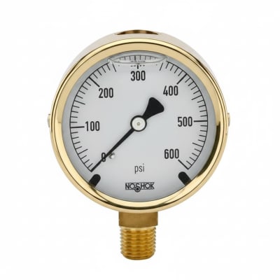 NOSHOK 25-300-100-PSI/KPA-BFF-BT8