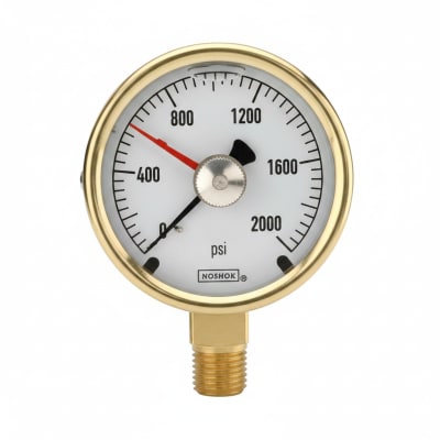NOSHOK 25-300-100-PSI/KG/CM2-BFF-BT8