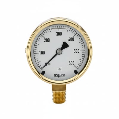 NOSHOK 25-300-100-PSI/BAR-CFF