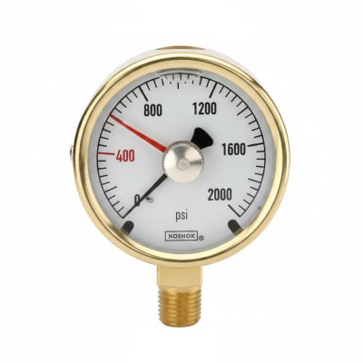 NOSHOK 25-300-100-PSI/BAR-CFF-CC