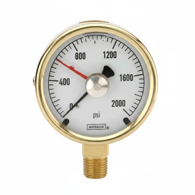NOSHOK 25-300-100-PSI/KPA-BFF-MIP-BT8-CC