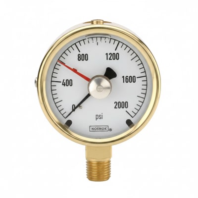 NOSHOK 25-300-100-PSI/KG/CM2-CFF-MIP-CC