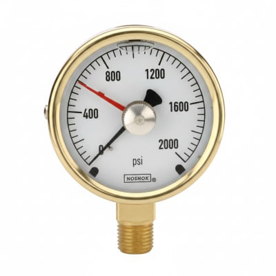 NOSHOK 25-300-100-PSI/BAR-BFF-MIP-CC