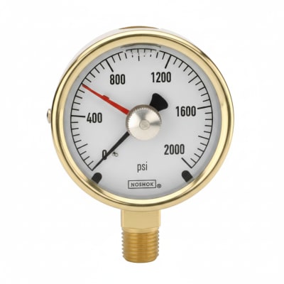 NOSHOK 25-300-100-PSI/KG/CM2-BFF-MIP-CC