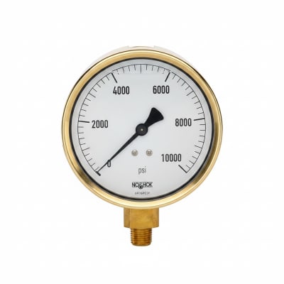 NOSHOK 25-300-100-PSI/BAR-CFF-MIP