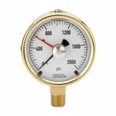 NOSHOK 25-300-100-PSI/BAR-CFF-MIP-CC