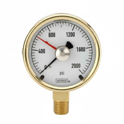 NOSHOK 25-300-100-PSI/KG/CM2-BFF-MIP-BT8