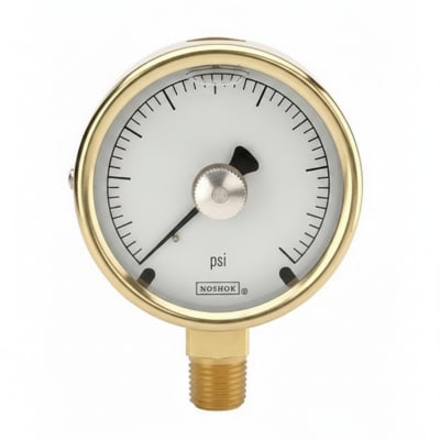 NOSHOK 25-300-100-PSI-BFF-MIP-BT8