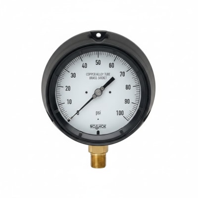 NOSHOK 40-510-60-PSI-1/4-MIP