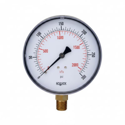 NOSHOK 25-100-160-PSI/BAR-BCR