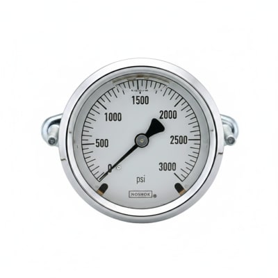 NOSHOK 25-310-30-PSI/KG/CM2-RF