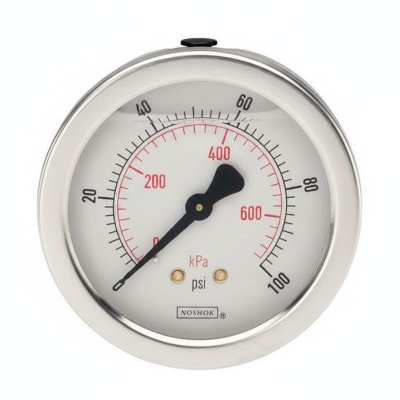 NOSHOK 25-410-400-PSI/KPA-SPMC-SG
