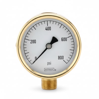 NOSHOK 25-300-30/60-PSI-CFF-MIP-CC
