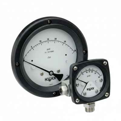NOSHOK 30-02C-S-R-10S