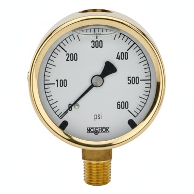 NOSHOK 25-300-30/60-PSI/KG/CM2-CFF-MIP-BT8