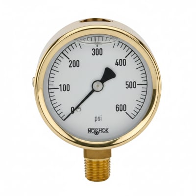 NOSHOK 25-300-600-PSI-BFF-BT8