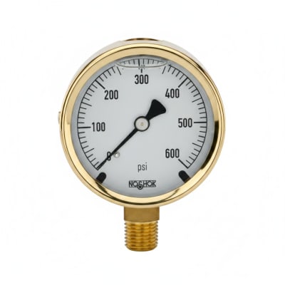 NOSHOK 25-300-600-PSI-RF