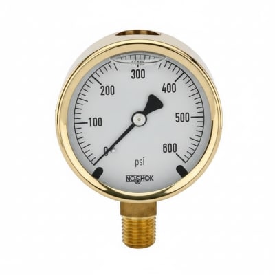 NOSHOK 25-300-600-PSI-CFF-BT4