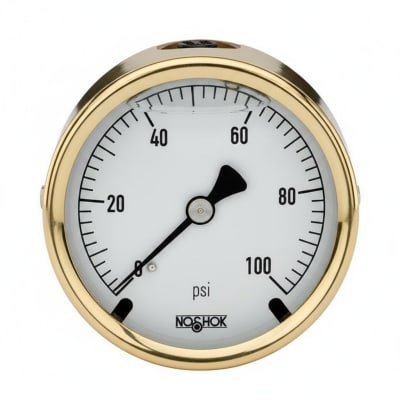 NOSHOK 25-300-300-PSI-BFF-BT8