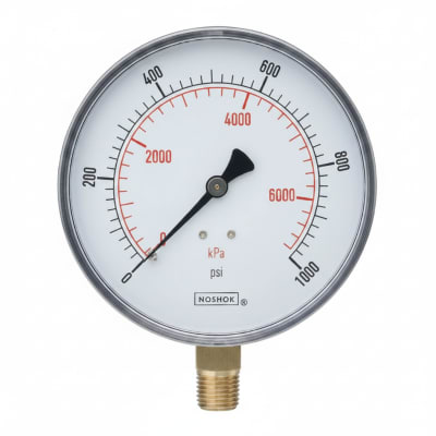 NOSHOK 25-300-3000-PSI/KG/CM2-CFF-BT8-CC
