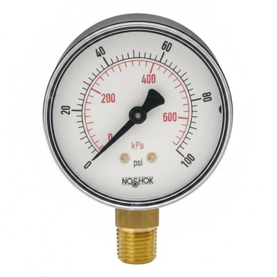 NOSHOK 20-110-30-VAC/KPA-1/8-BLFF