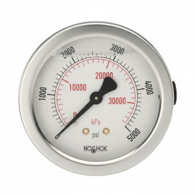 NOSHOK 20-110-30-VAC/KPA-1/8-PMC