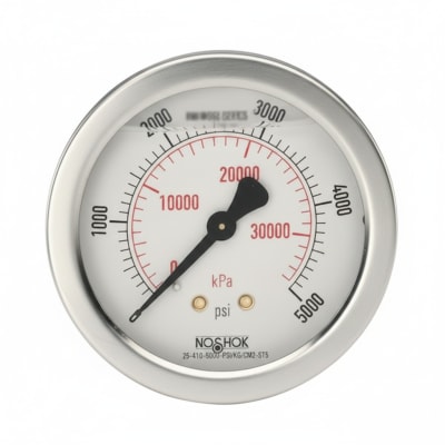 NOSHOK 25-410-5000-PSI/KG/CM2-ST5