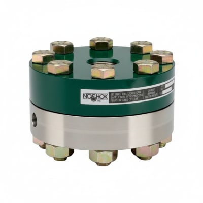 NOSHOK 30-02S-S-T-08C