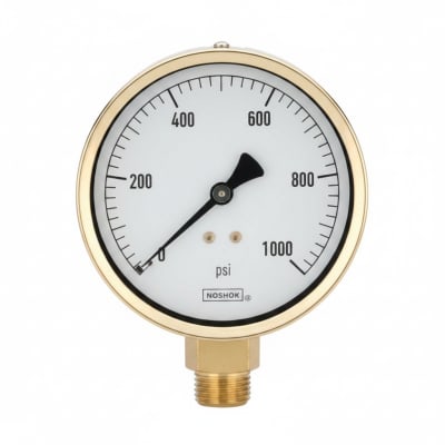 NOSHOK 25-310-30/30-PSI/BAR-BT8