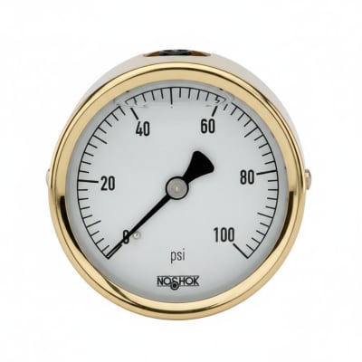 NOSHOK 25-310-30/30-PSI/BAR-MIP-CC