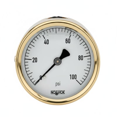 NOSHOK 25-310-30/30-PSI/BAR-MIP-CFF