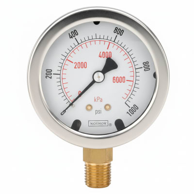 NOSHOK 25-310-3000-PSI-BT4