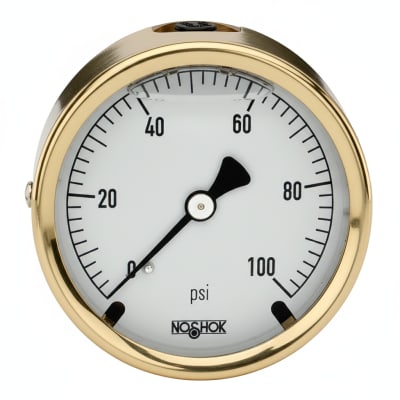 NOSHOK 25-310-30/30-PSI/KPA-MIP-BFF