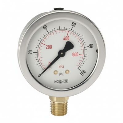 NOSHOK 25-310-30/30-PSI/KG/CM2-MIP-CFF