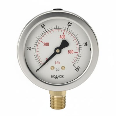 NOSHOK 25-310-30/30-PSI/KPA-DRY