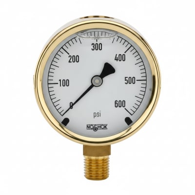 NOSHOK 25-300-800-PSI/BAR-BFF-BT8