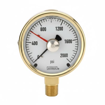 NOSHOK 25-300-800-PSI/KG/CM2-CFF-BT8-CC