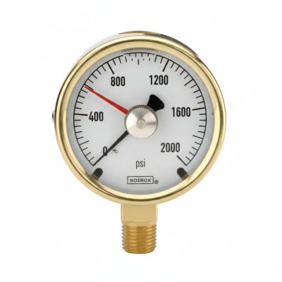NOSHOK 25-300-800-PSI/BAR-CFF-MIP-BT8-CC