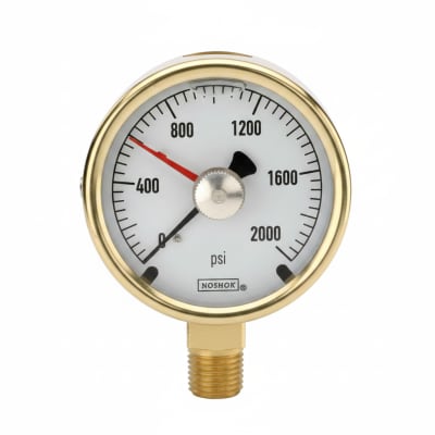 NOSHOK 25-300-800-PSI/KG/CM2-BFF-MIP-CC